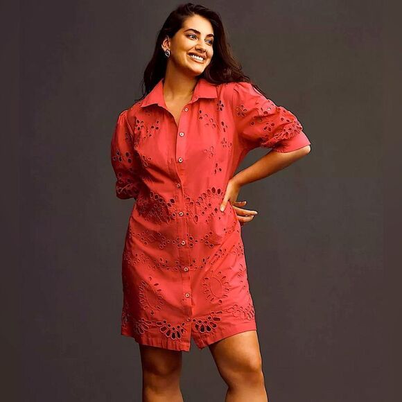 Anthropologie Eyelet Long Sleeve Embroidered Button-Down Mini Dress NWT - Picture 2 of 15